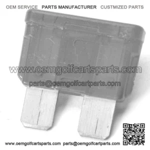 10 AMP FUSE