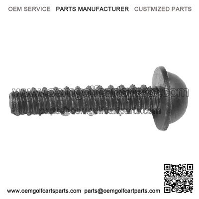 SCREW-M6-TORX-INTERLOCK THREAD