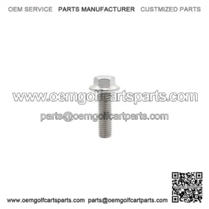 OEM Bolt Flg M12x1.75x100 Patch